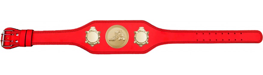 JIU JITSU CHAMPIONSHIP BELT-BUD003/G/JJG-4 COLOURS
